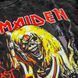 Футболка Iron Maiden з вогненним принтом "The Number of the Beast" виварена, графітова, унісекс, ONE SIZE, 140063 140063 фото 4